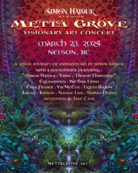 Metta Grove: Visionary Art Concert by Simon Haiduk